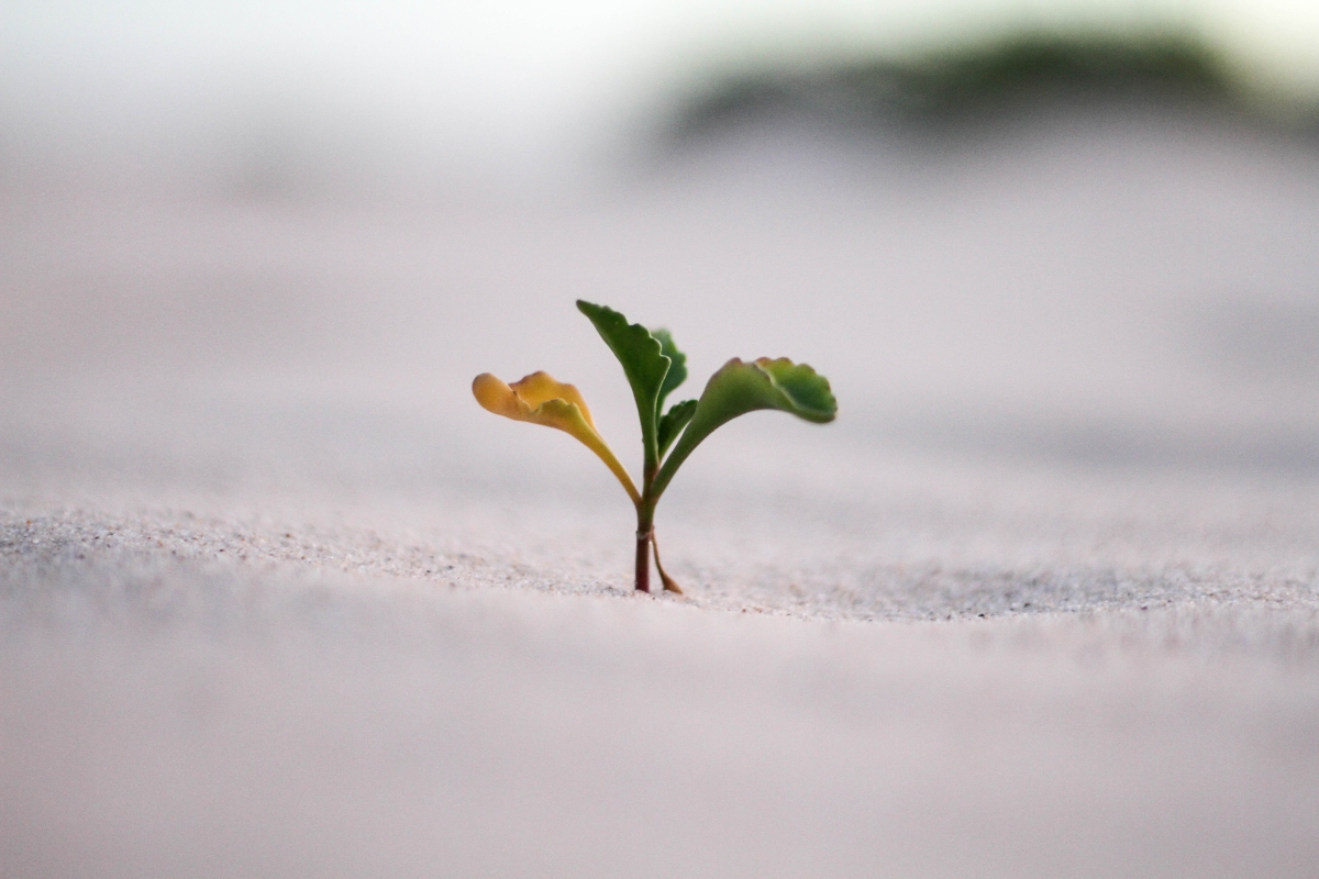 Lead nurturing: Top Strategies to Get the Most Out of Every Lead